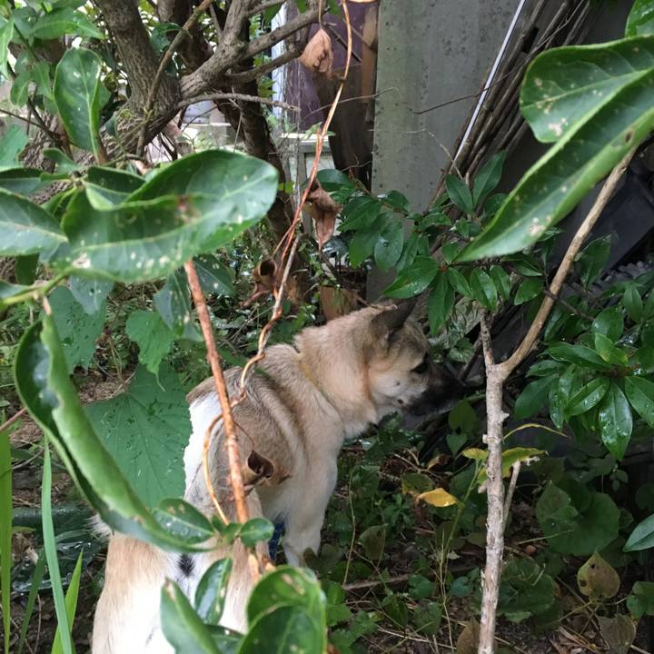 7185d4f4 16ec 47ad a8c2 ce09c1c16ec3 1507895880429