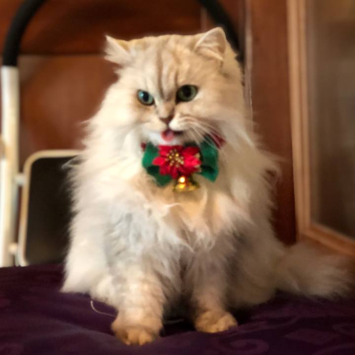 71860ef2 b22f 4db4 8619 1feccdc5fb66 1577232660148