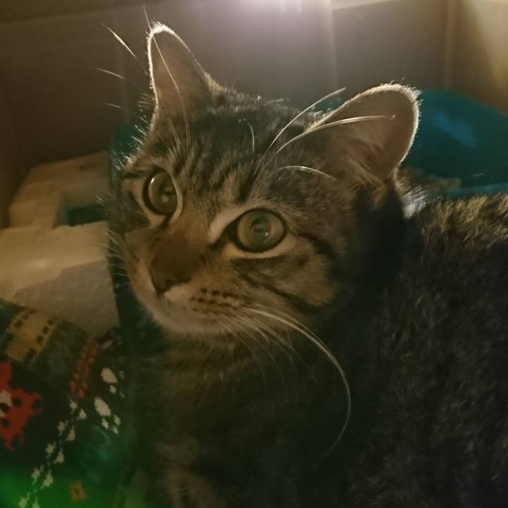 7186603c 7ece 418c 81d9 b4a3b7d95204 1549374034178