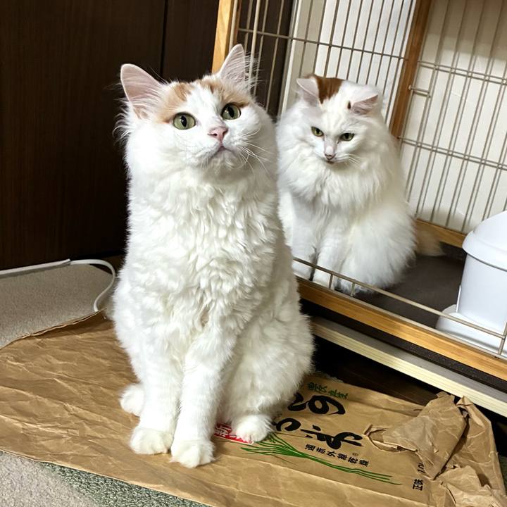71866dac 8711 462a bc08 27c0b4e29a8d 1786680142483