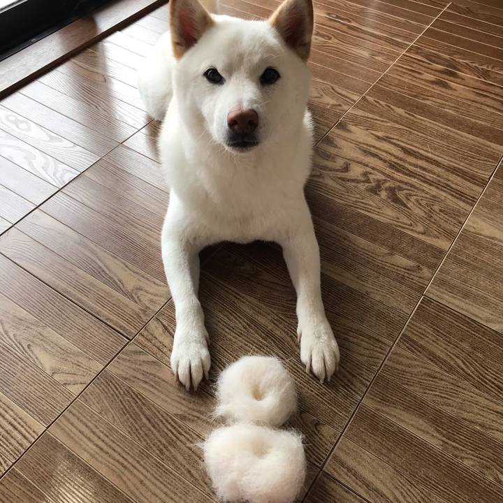 7186bc85 f523 4f32 8106 7e6110853d74 1564805503971