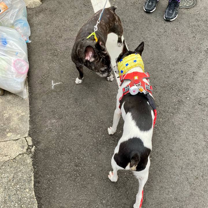 7186bc9b f79f 4162 a606 37bd3da6d260 1628291524614