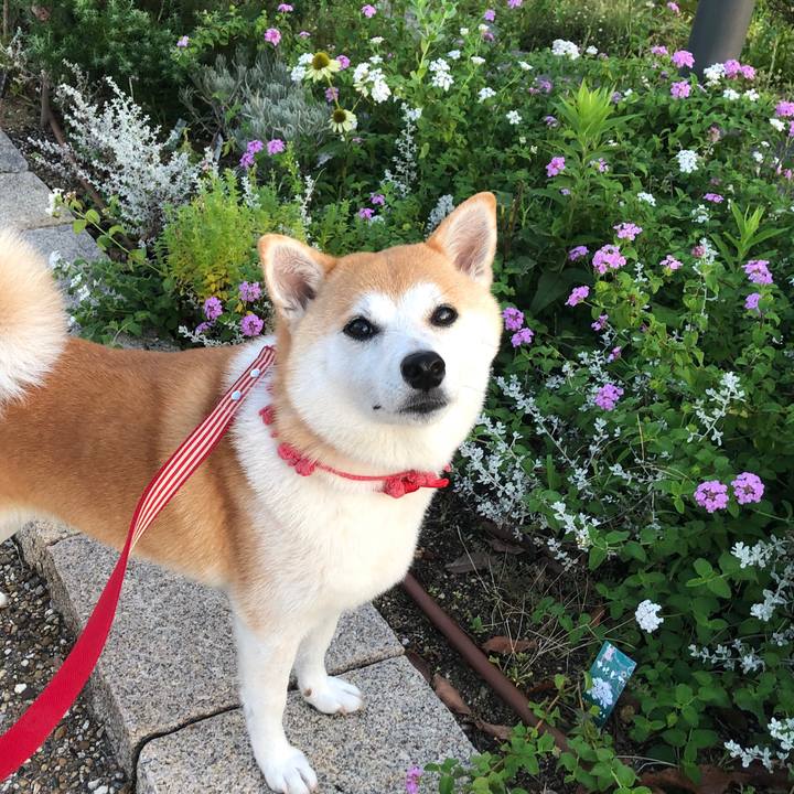 7186bf2c 1ae5 4b0c 9e43 bb463f7ffd35 1567379683852