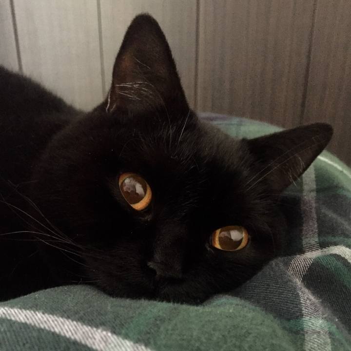 7186cbe7 4a39 4e17 854c c8777149c150 1547385811644