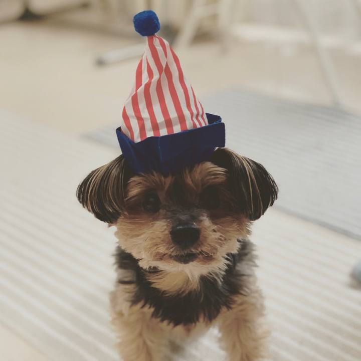 7186d25a 9ed6 432d aa0d 0838b7d54bc0 1622015263021