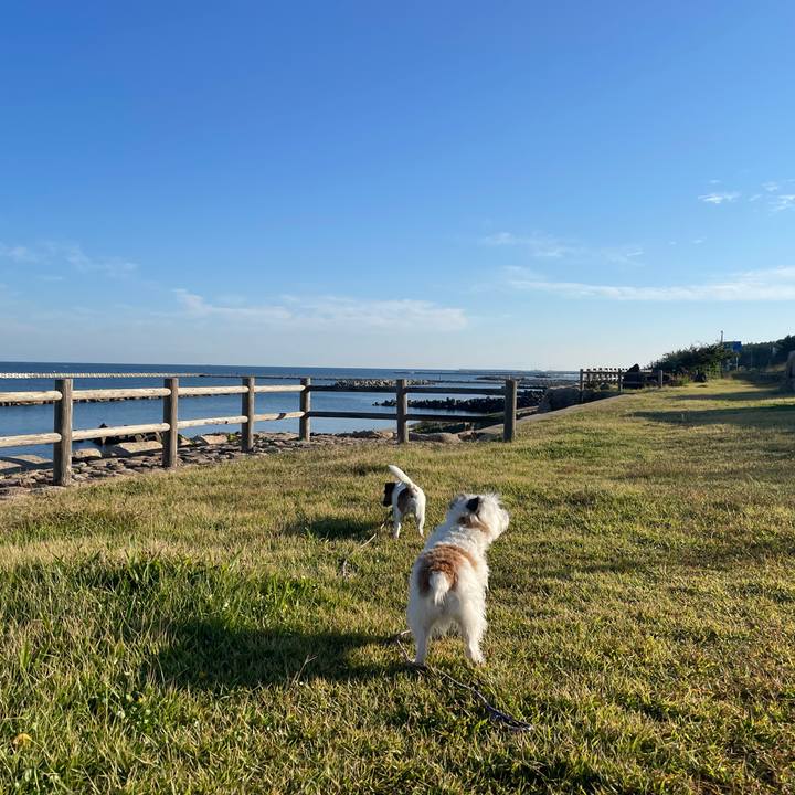 7186da0e 82a7 4bed 9931 7af3b1246a0c 1664582869936