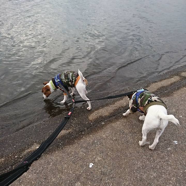 71871c1b cc9f 47b0 a93f 7a3bb6619455 1549182849859