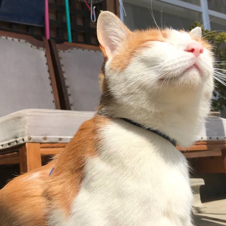 71872f8c 0d25 4de5 8827 077d9bef8f4b 1522477684220