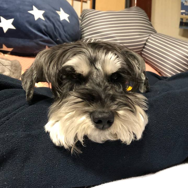 71873cc8 10b6 4188 b7d5 35fddce502aa 1678538511543