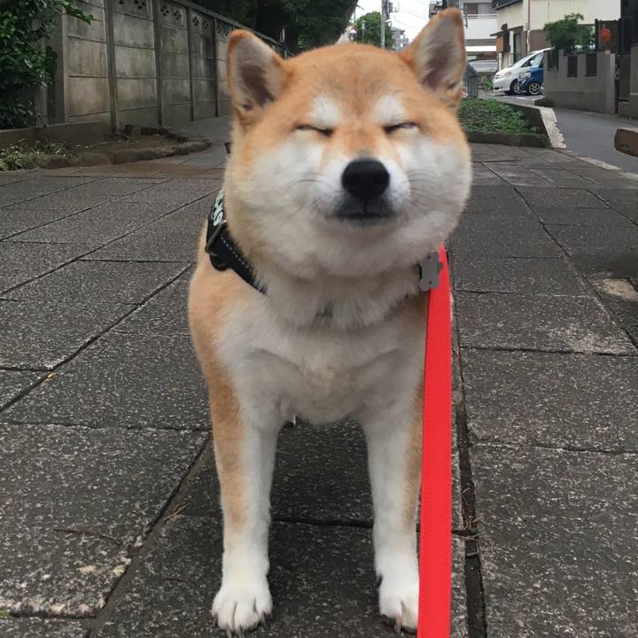 71874631 a188 4c02 8e28 1a8b7b10039b 1561283687309