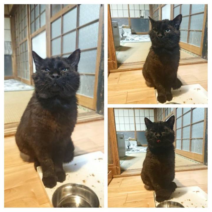 7187531b 6698 4832 843b ed0aecd6efdf 1621682905233