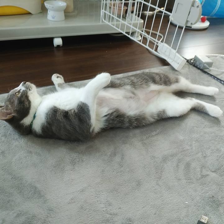 71875c39 20b2 47b7 8432 dd77bcf2ba3a 1587093058635