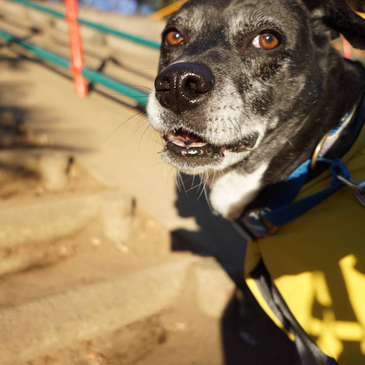 7187606b 26ca 48a0 957f ee7f76c6ec46 1767918176967