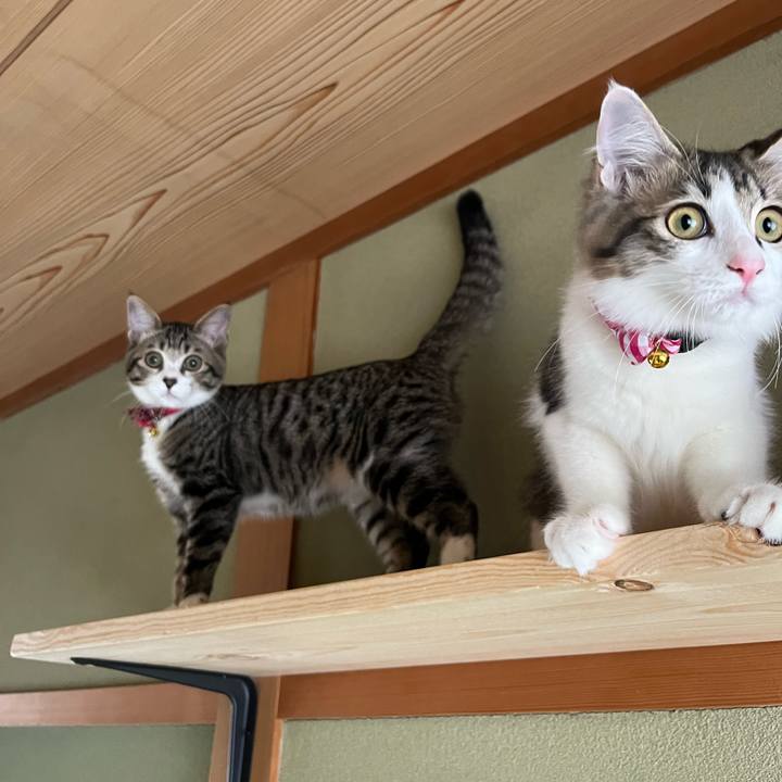 718794f5 a28e 4bfd b92f 3c1a8311fab7 1693618210092