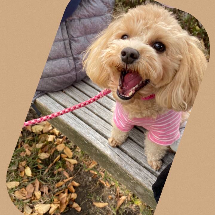 7187a66e 1336 4e17 8ab8 8090567bfc00 1604214671557