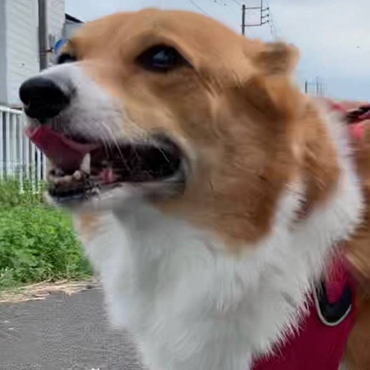 7187ab5d 345f 40be b6e3 a4a1562e9e16 1665210850844