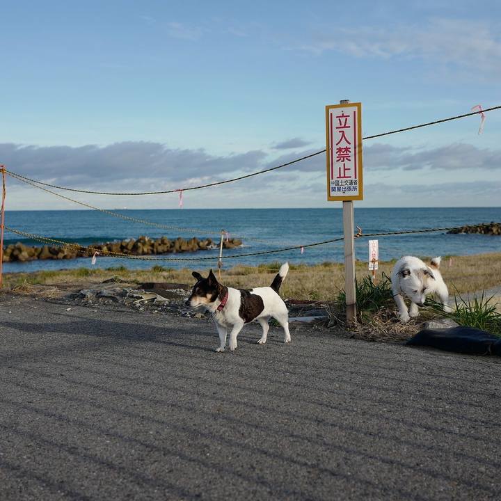 7187b9be ea91 4844 b0c4 2a1b5fddd306 1542520802859