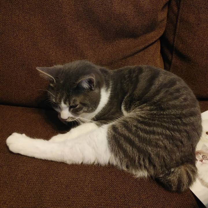 7187fd92 1a51 42f8 8fba af64d546fef7 1580101256792