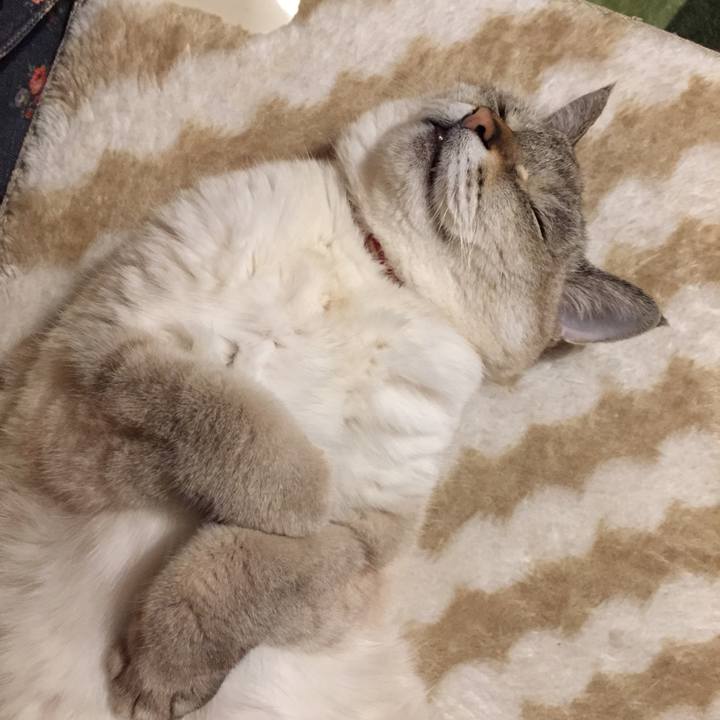 71881e26 e3dd 472c 917d aeec29111ec0 1581334015092