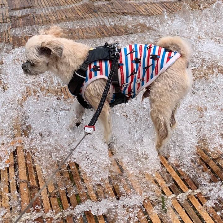 718849b6 33b7 43ee 832f 3ccd2b6f2ee4 1564725354125