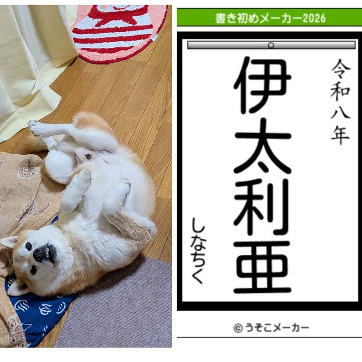 71885ffb f33a 4e32 ba91 dea0677dc1c4 1767785237709