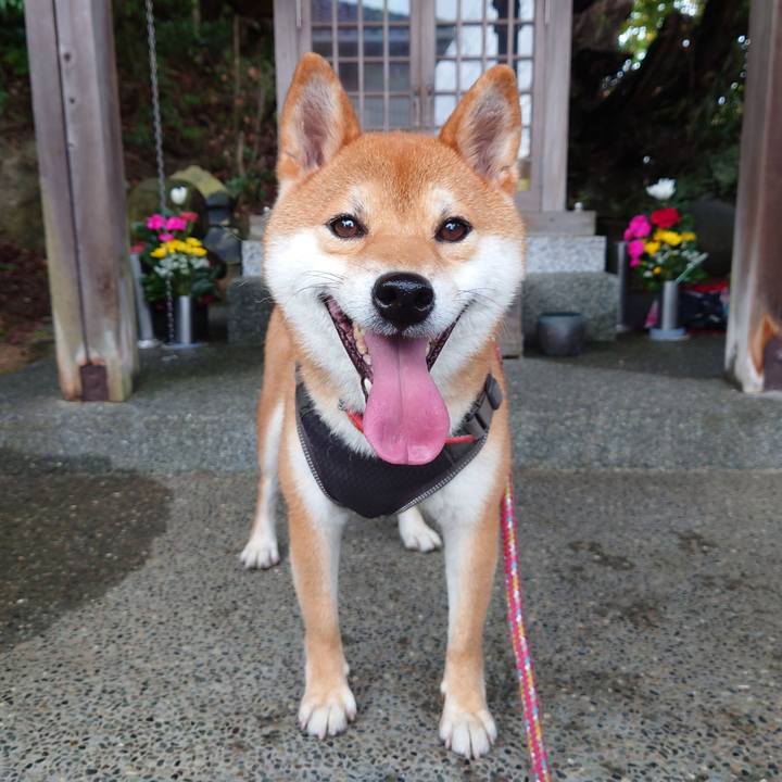 71888135 6601 4bf7 8f44 90374901516b 1759633434489