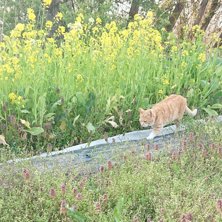 71888dca d5bb 45cc b9c6 079d0c623300 1588148913220