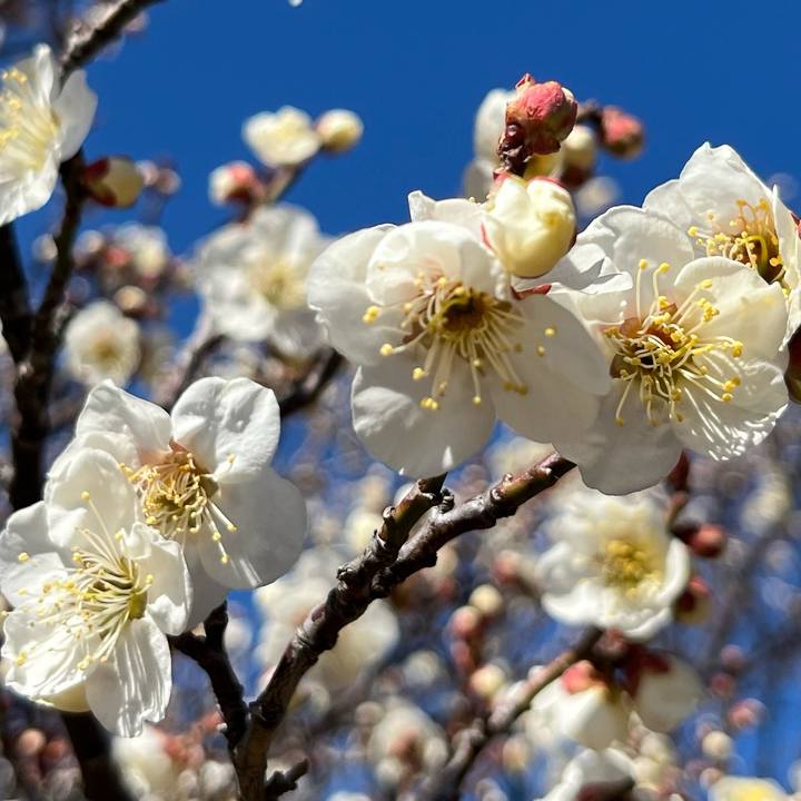 7188cf9a 5021 414d a69e 405059014e6d 1740368863300