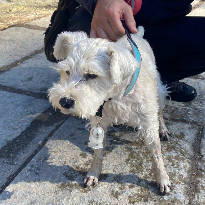 71894d11 35ec 4755 aa44 5da4838f0a73 1771813751002