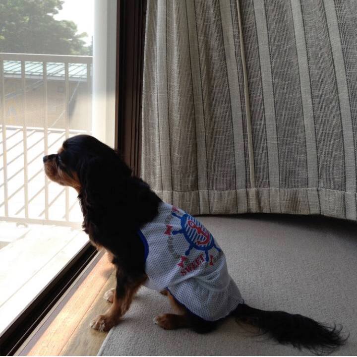 71896b36 8f19 4129 a438 69f495f12a76 1590807603793