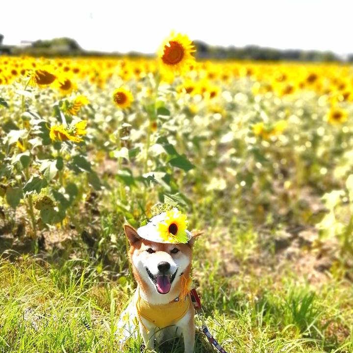 71899639 3955 48a0 8c7e bb9ae5976438 1692937380946