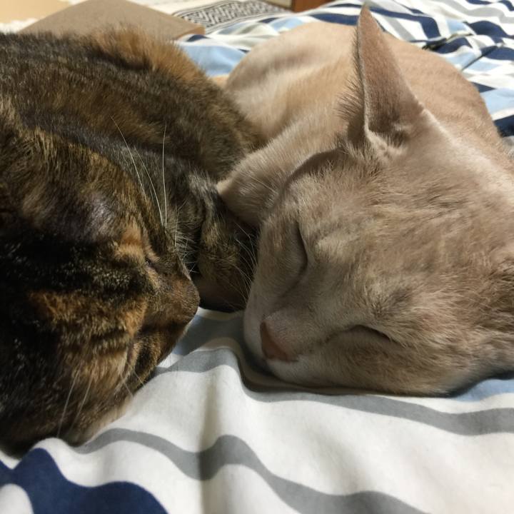 7189b30d 4222 4e9f a3f0 e02955823a15 1653607172867