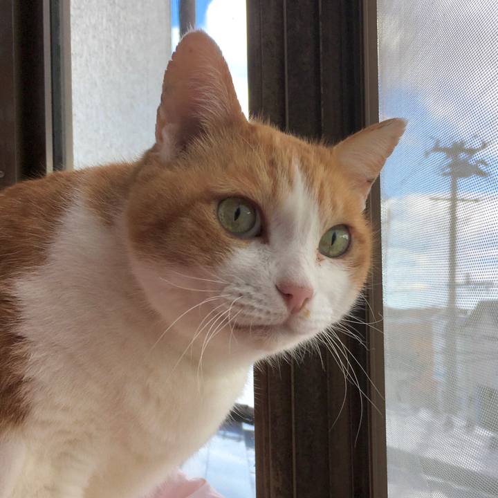 718a2d93 a28d 4b93 9ca6 16561fb156cd 1583914301104