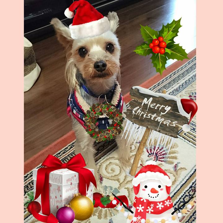 718a2ee8 7cf5 4b40 9d2d a38d5faeffde 1513357217291