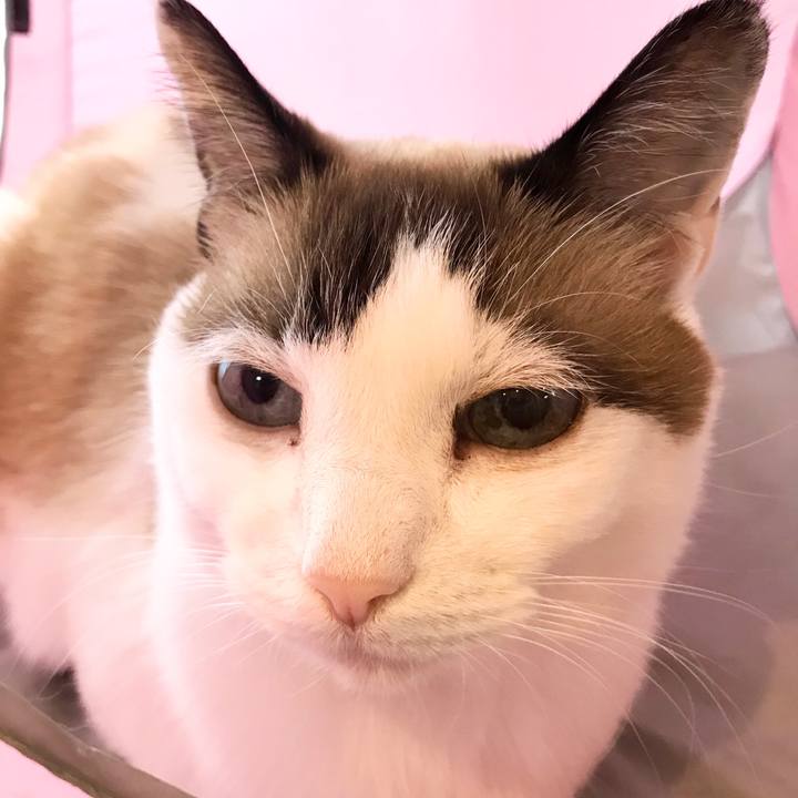 718a4190 d198 48e8 92d8 1904c6a95f32 1573987716547