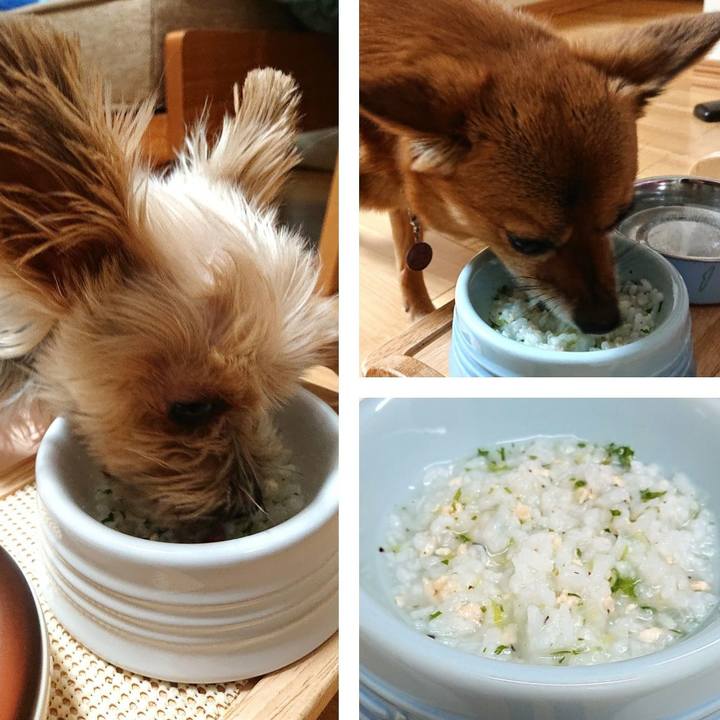 718a77e1 0e24 4938 9fc9 e5d086e74e04 1578403032911