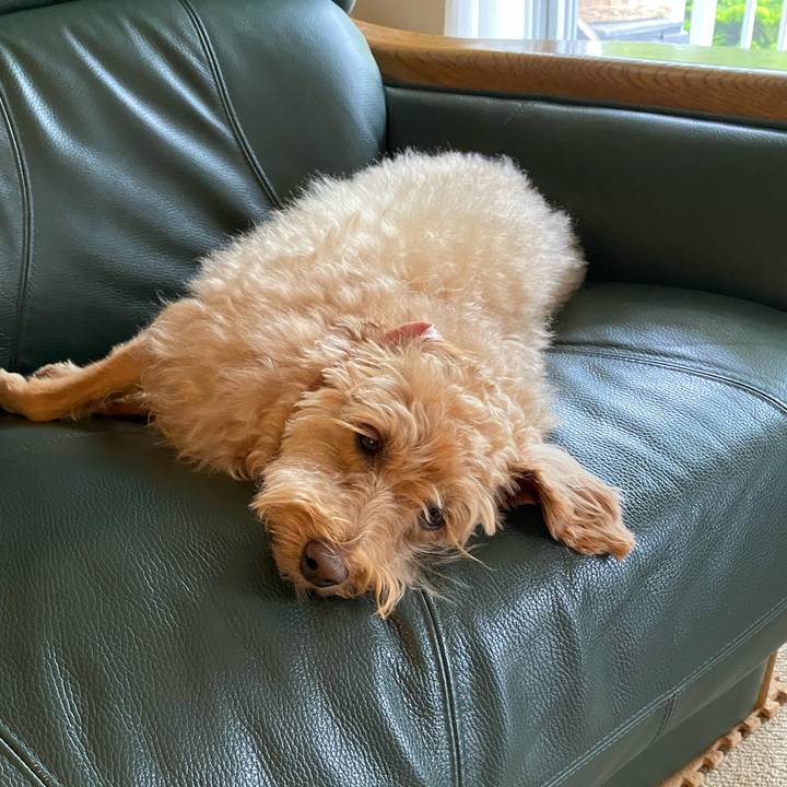 718a89c2 5a13 4470 8ee3 d6498348cebc 1624230408606