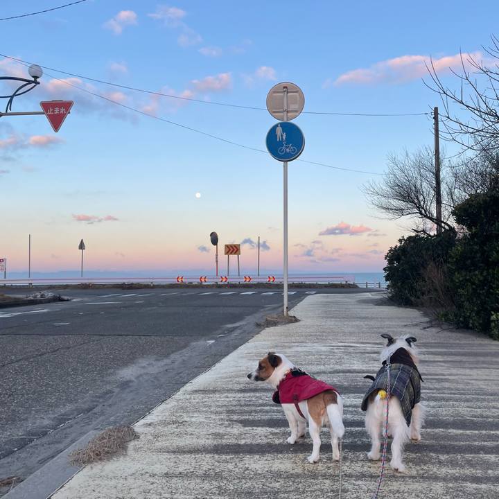 718a8e9a 1102 4310 b98c 2247644b88de 1703720098930