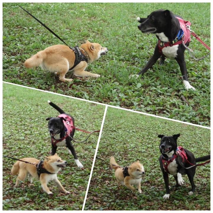 718a9af8 7d3f 4611 bcf3 ae54b218390e 1695516861998