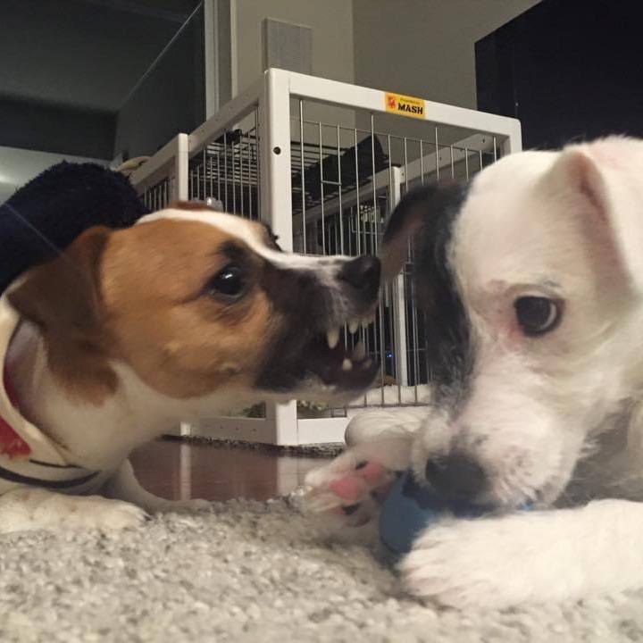 718ab071 e034 45f1 a293 bf71e21bc397 1646260779719