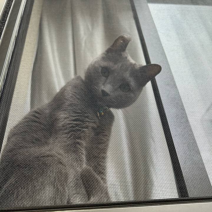 718ac9c2 ab1a 4fbe a6ee c2b3b3279fae 1715143271897