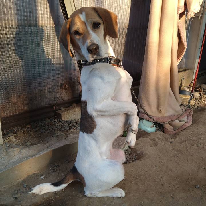 718af4c6 92d9 4fe9 971e 92ffa6cb410d 1643275963898