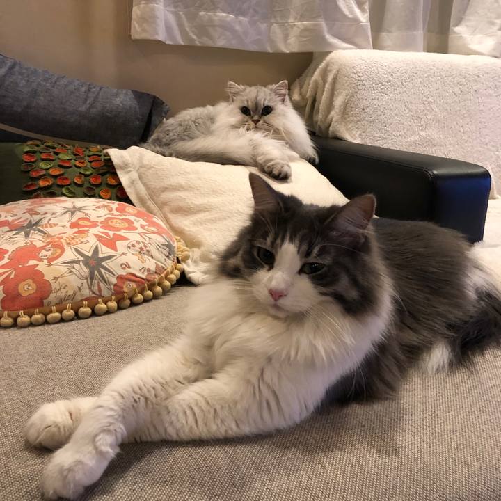 718b3117 fb3a 49b1 9b1c 88fcc3e786c9 1549018161671