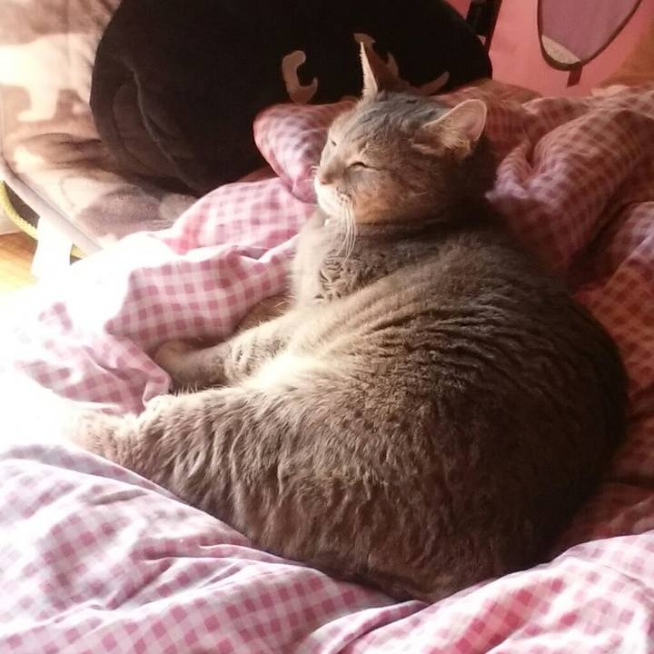 718b4403 e9a1 408d 8d59 84bb26322ec4 1549158666310