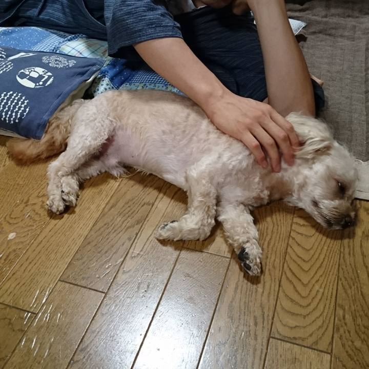 718b49f5 6bce 4097 95d9 5a5ca69e74bc 1565779190188