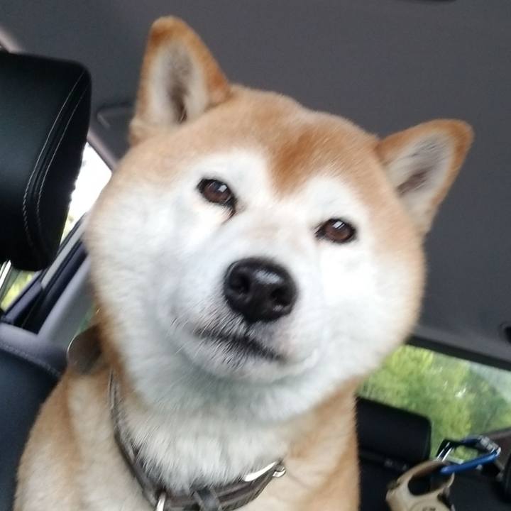 718bac2b 3dfb 41d8 9353 2bb381c30fbd 1620548704659