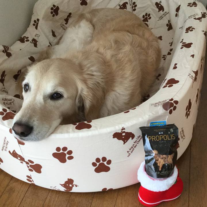 718c4632 ad2b 4614 abc0 9700957e3101 1514258667005