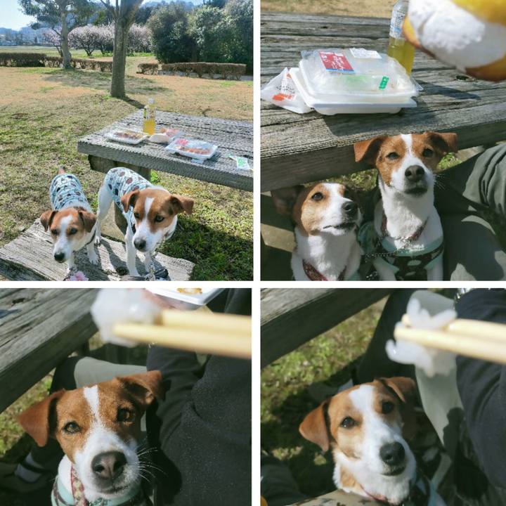 718c4647 433c 4d1e 8ba1 81f851a89a85 1772263437943