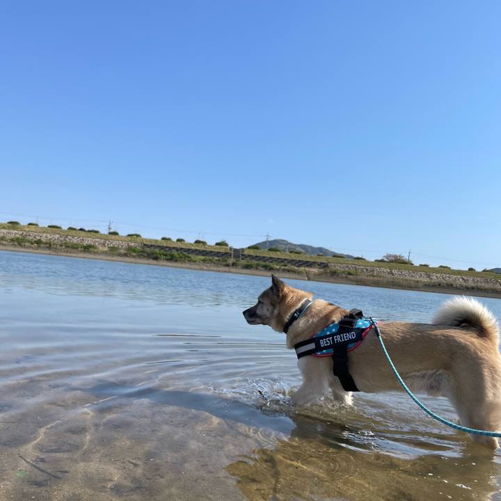 718c5c3f 219e 4836 9b8a fa82918191b5 1713012118228