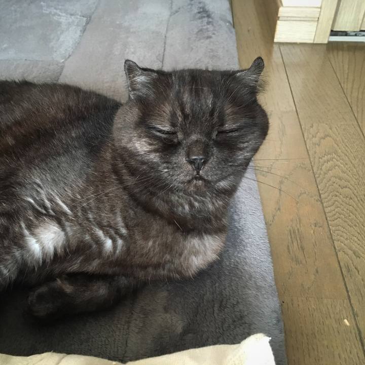 718c8d39 33ea 48b8 b9c5 2762f77bb2e3 1559551118431